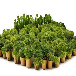 Sélection massale.png