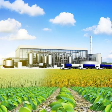 Biodiesel1.jpg
