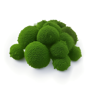 Ester éthylique d’acide gras.png